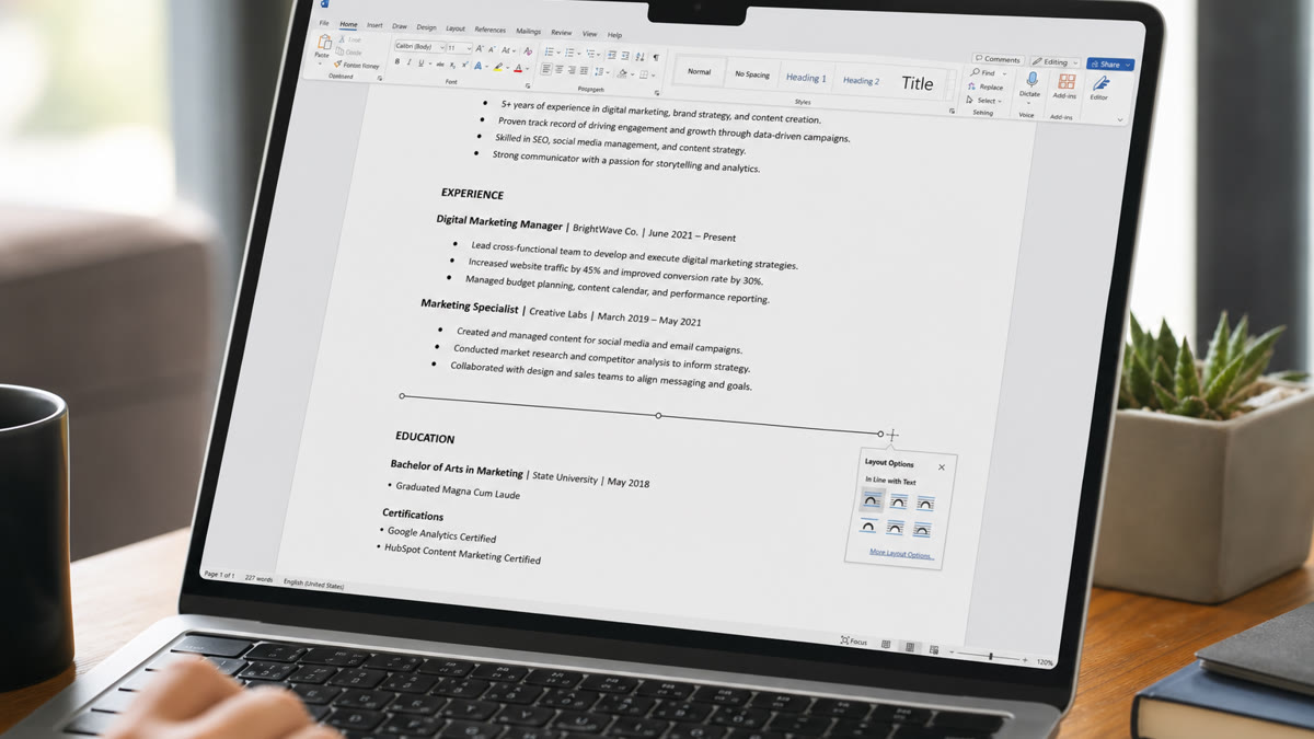 Close-up of a resume document in Microsoft Word showing a thin horizontal section divider beneath a professional summary heading